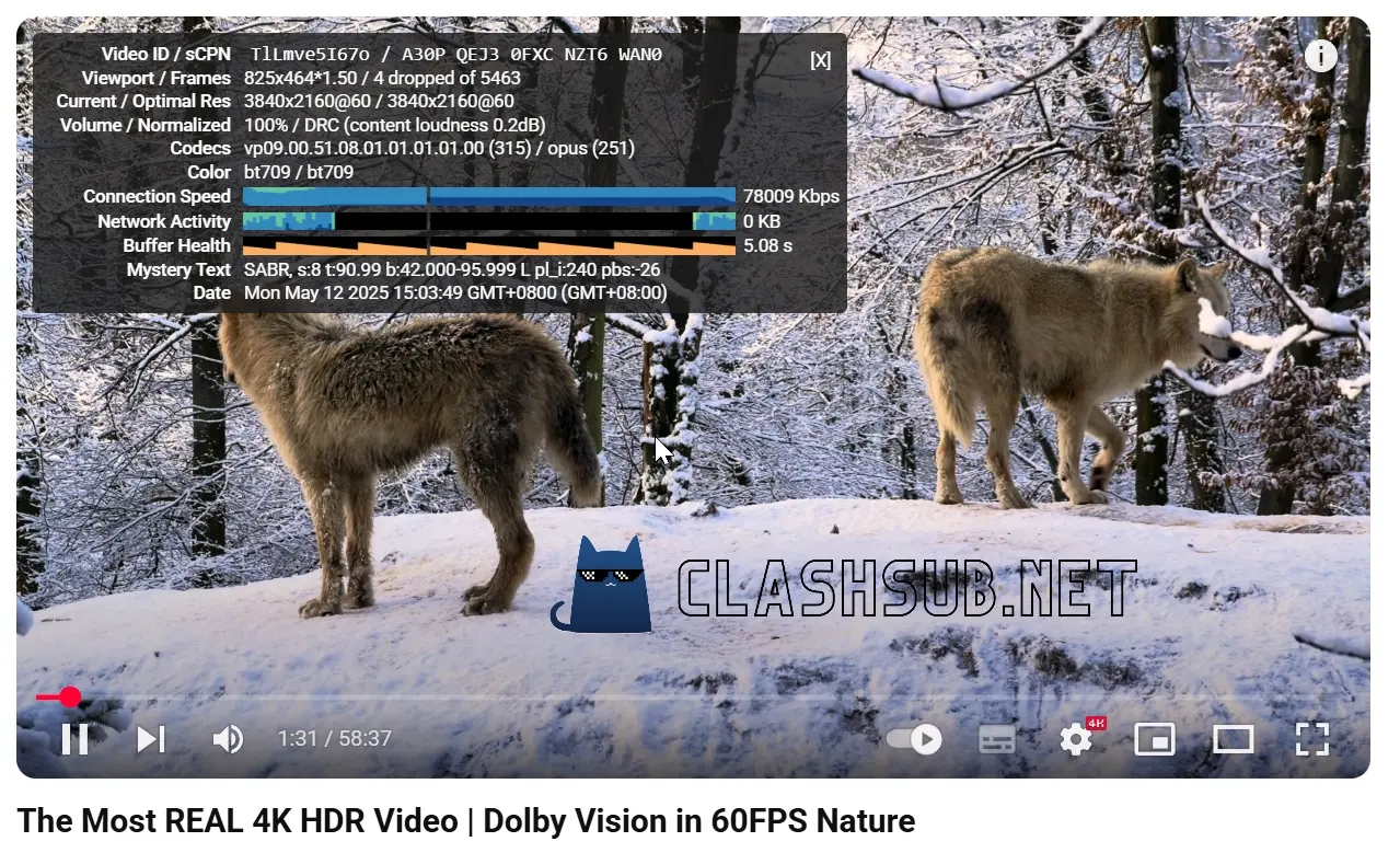 老猫云机场 YouTube 4K 播放测试