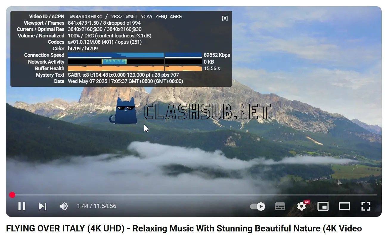 COCODUCK 小黄鸭机场 YouTube 4K 播放测试