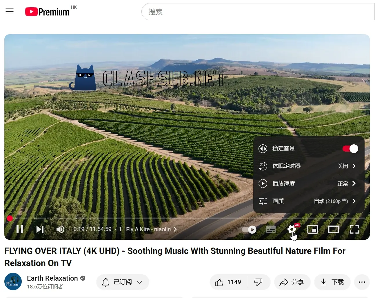 YouTube 画质切换选项